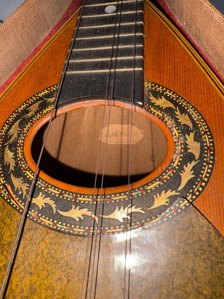 Vintage Lakeside Bowl Back Mandolin 8 String Tater Bug with Original Case