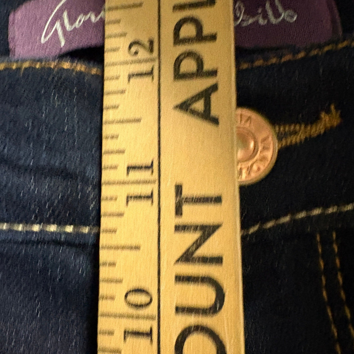 Gloria Vanderbilt Amanda Jeans Womens 16 Short New Rinse Blue Stretch Tapered