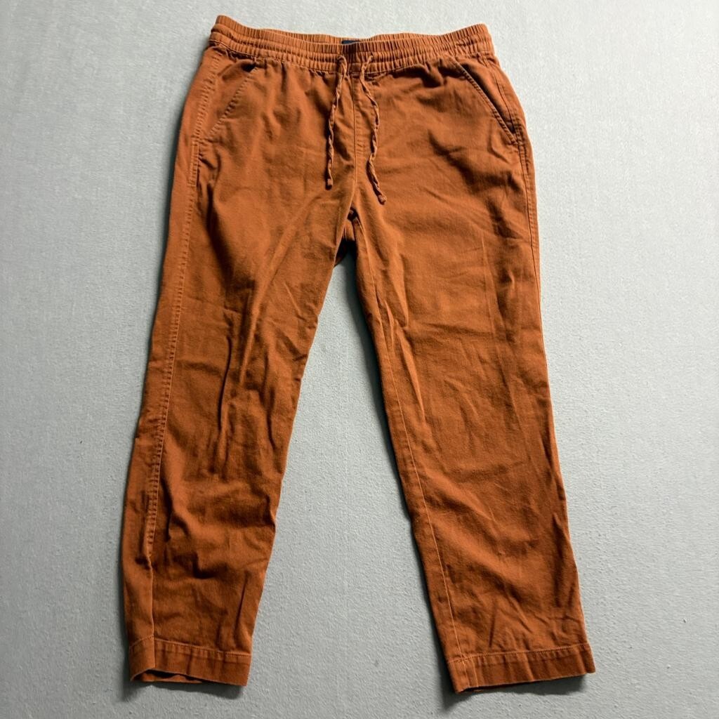 Gap Mens Pants Medium Brown Cotton Rayon Blend Elastic Waist Drawstring Jogger