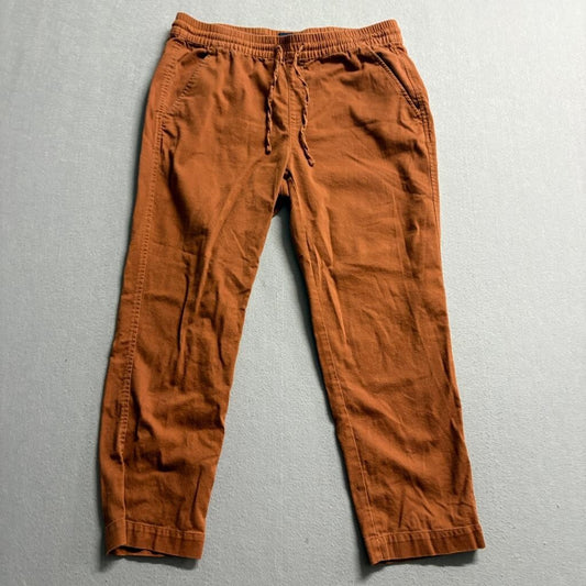 Gap Mens Pants Medium Brown Cotton Rayon Blend Elastic Waist Drawstring Jogger