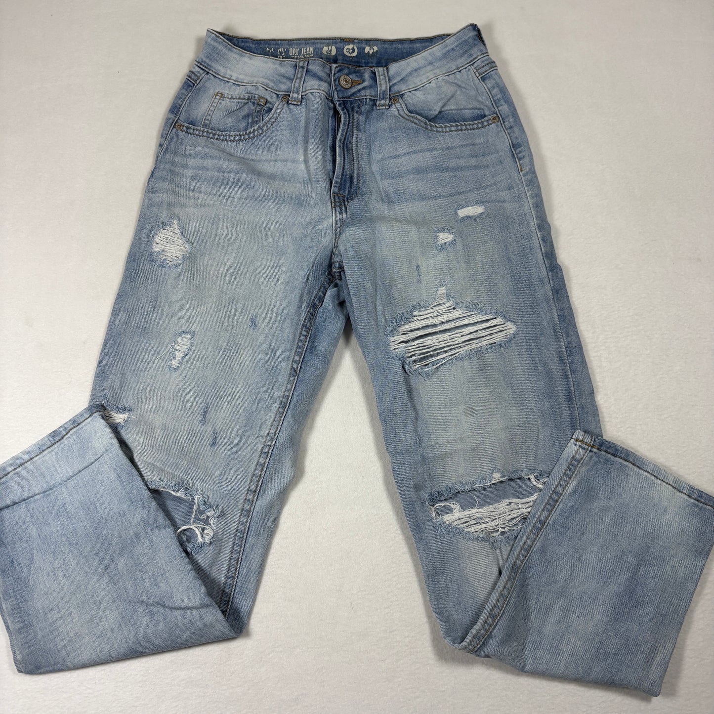 American Eagle Womens Jeans 5/27 High Rise Distressed Mom Baggy 90s Y2K Grunge