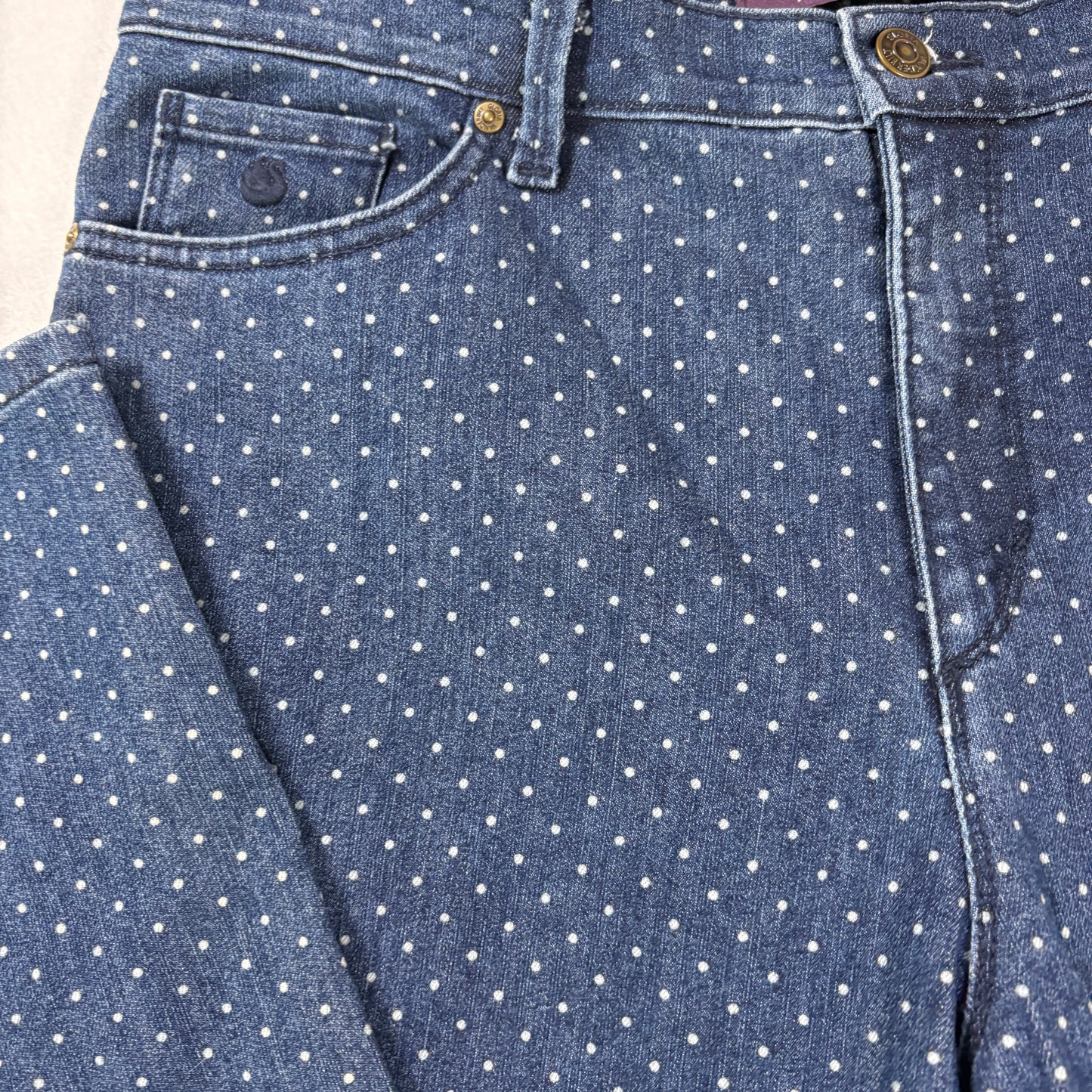 Gloria Vanderbilt Amanda Jeans Women’s 14P Petite Blue Polka Dot Denim Straight