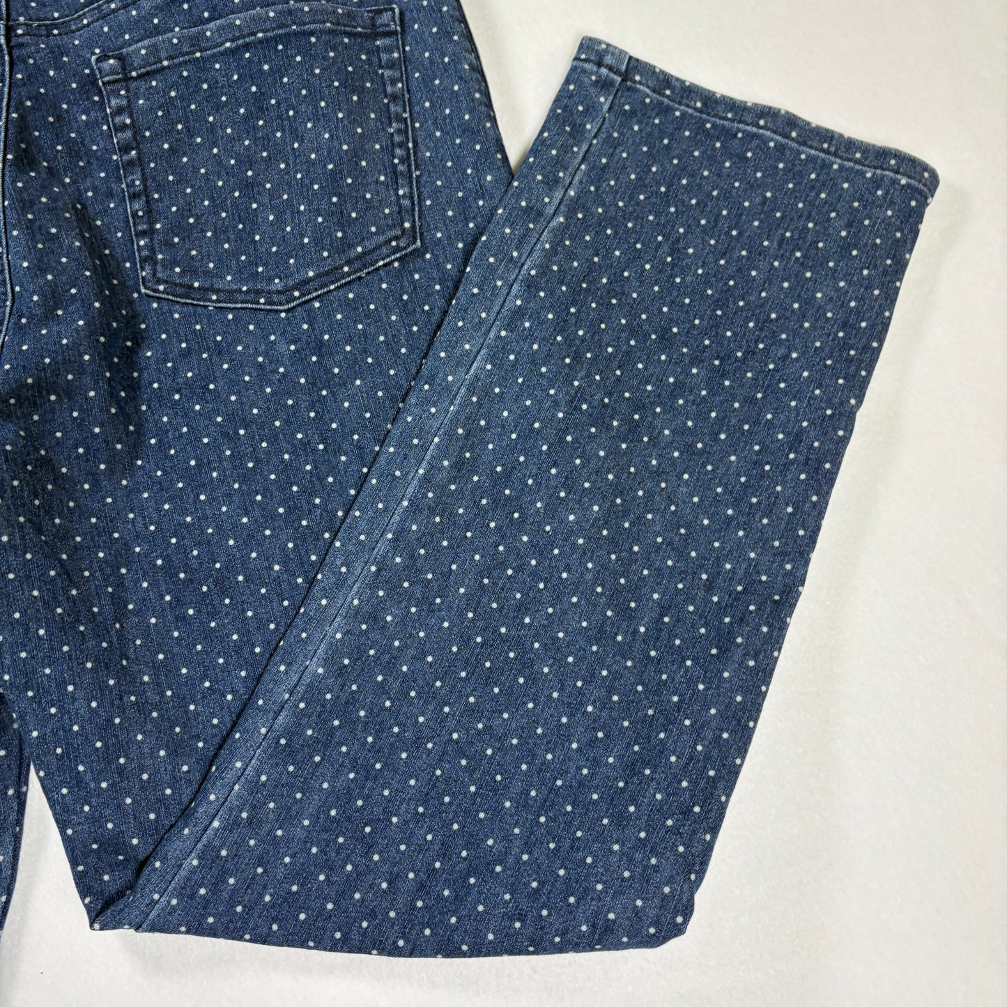 Gloria Vanderbilt Amanda Jeans Women’s 14P Petite Blue Polka Dot Denim Straight