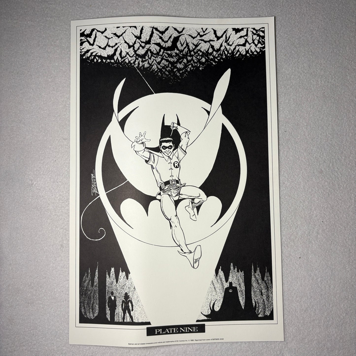 Batman Plate Nine 1989 DC Comics Poster Print Robin Bat Signal Jose Luis Garcia Lopez