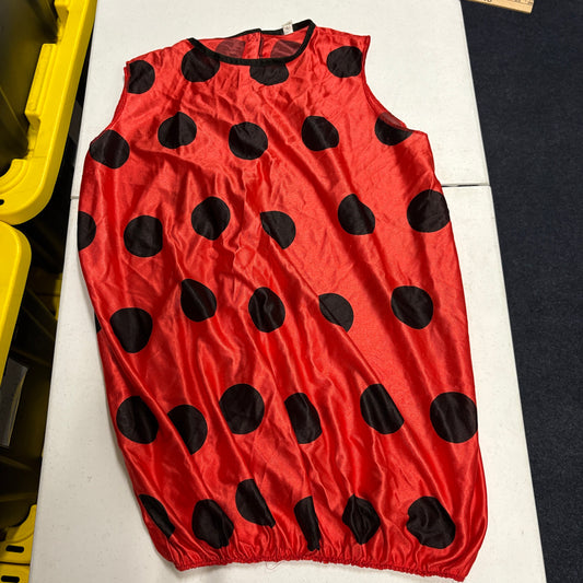 Ladybug Dance Costume Red Black Polka Dot Tunic Kids Youth Halloween Costume