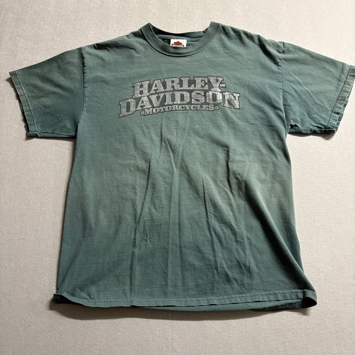 Harley Davidson Ventura Camarillo CA T Shirt USA Made Faded Green Large Tshirt