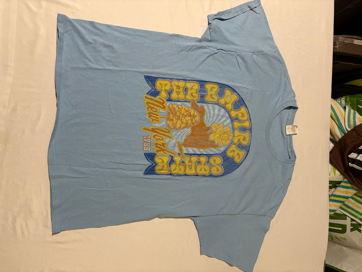 Hanes XL Blue Empire State New York 1788 Graphic T-Shirt Short Sleeve Cotton Blend