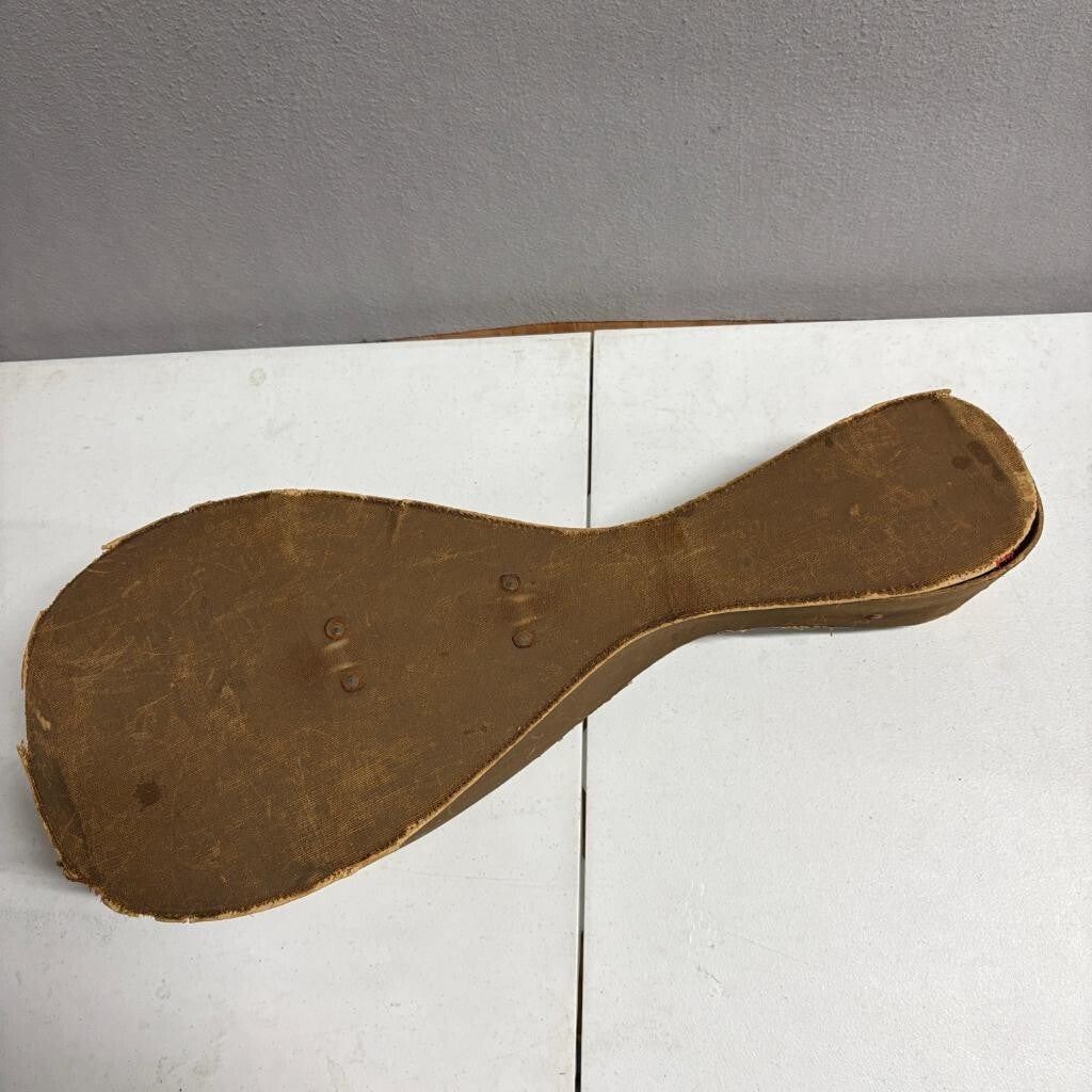 Vintage Lakeside Bowl Back Mandolin 8 String Tater Bug with Original Case