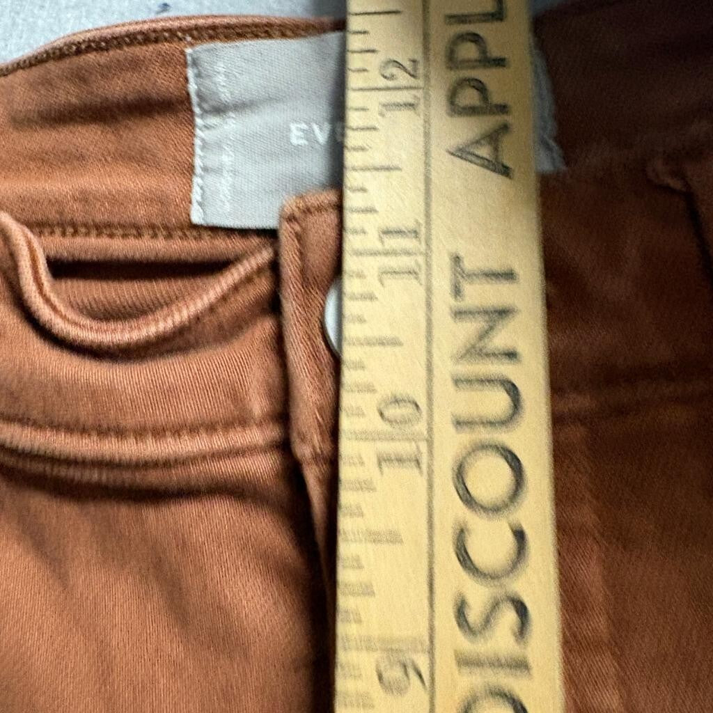 Everlane The Straight Leg Crop Pants Womens 10 Brown Rust High Rise Utility