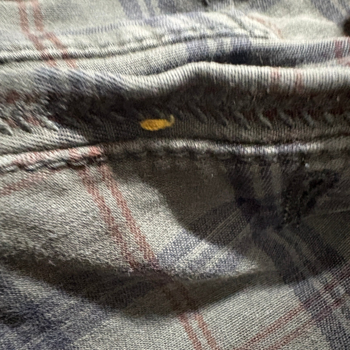 Pilcro and the Letterpress Plaid Pants Size 26 Gray Cotton Stretch Chino Cords