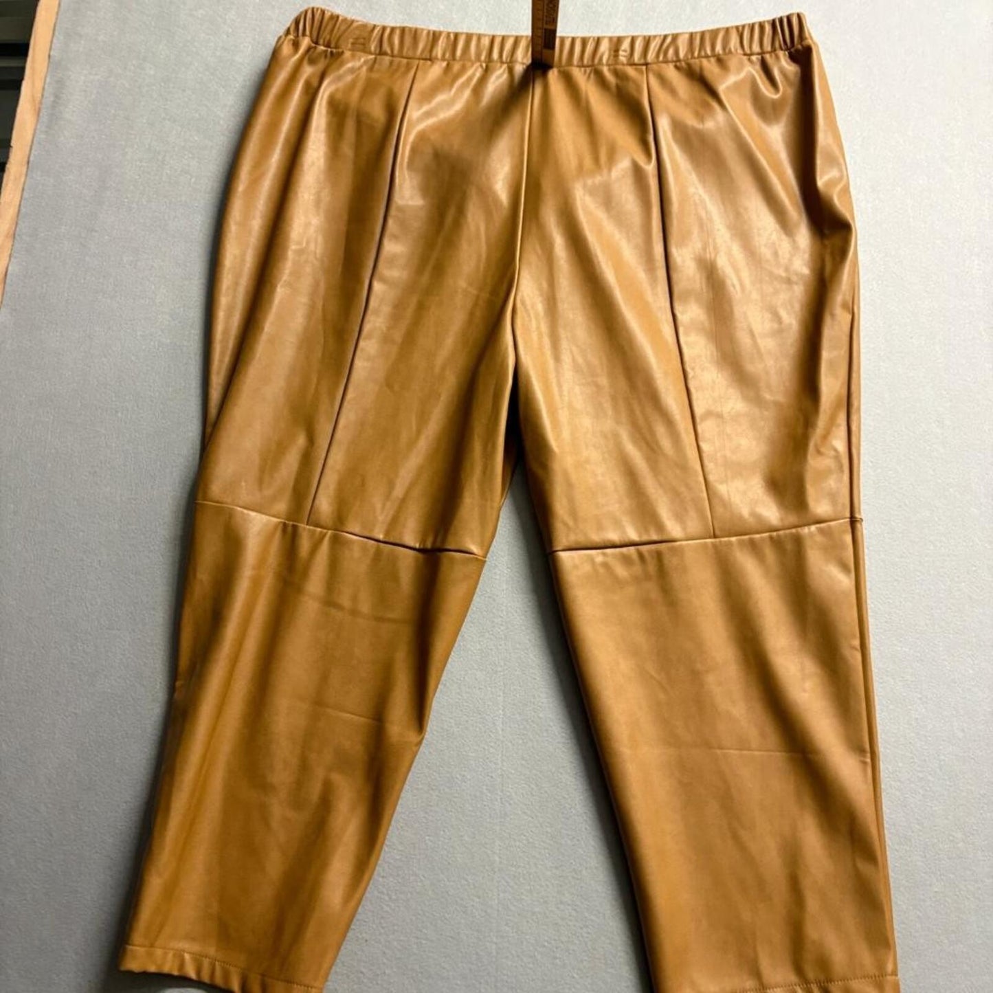 Sonoma Goods For Life x Derek Biddle Faux Leather Pants Womens Plus 4X Brown Tan