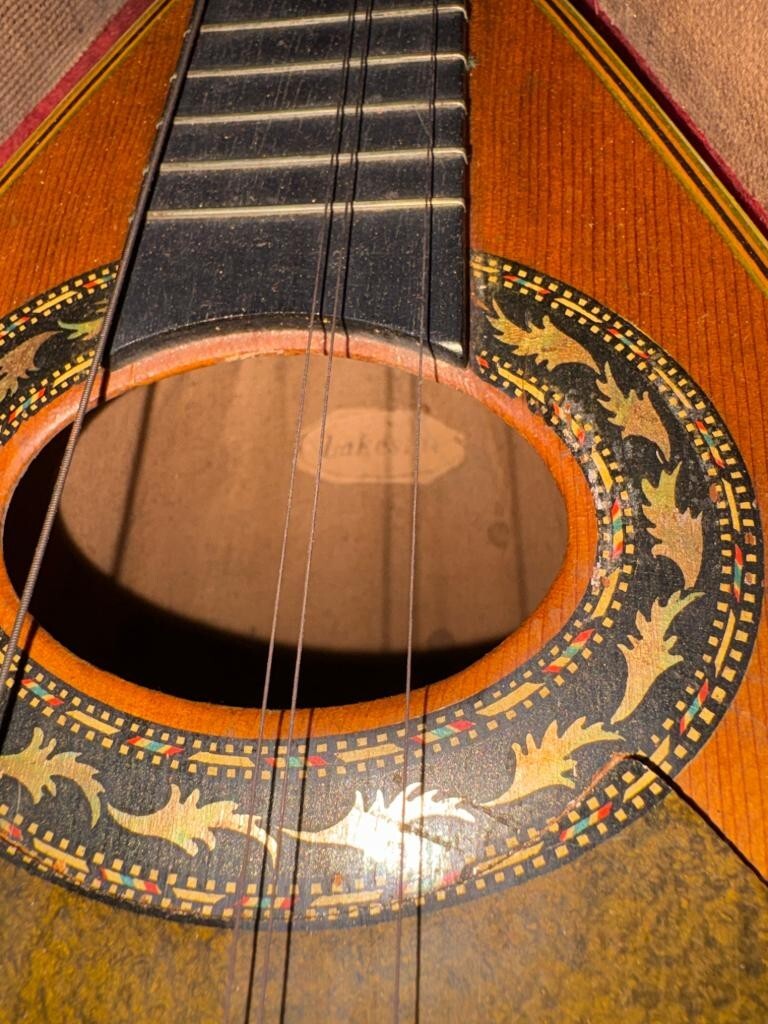 Vintage Lakeside Bowl Back Mandolin 8 String Tater Bug with Original Case