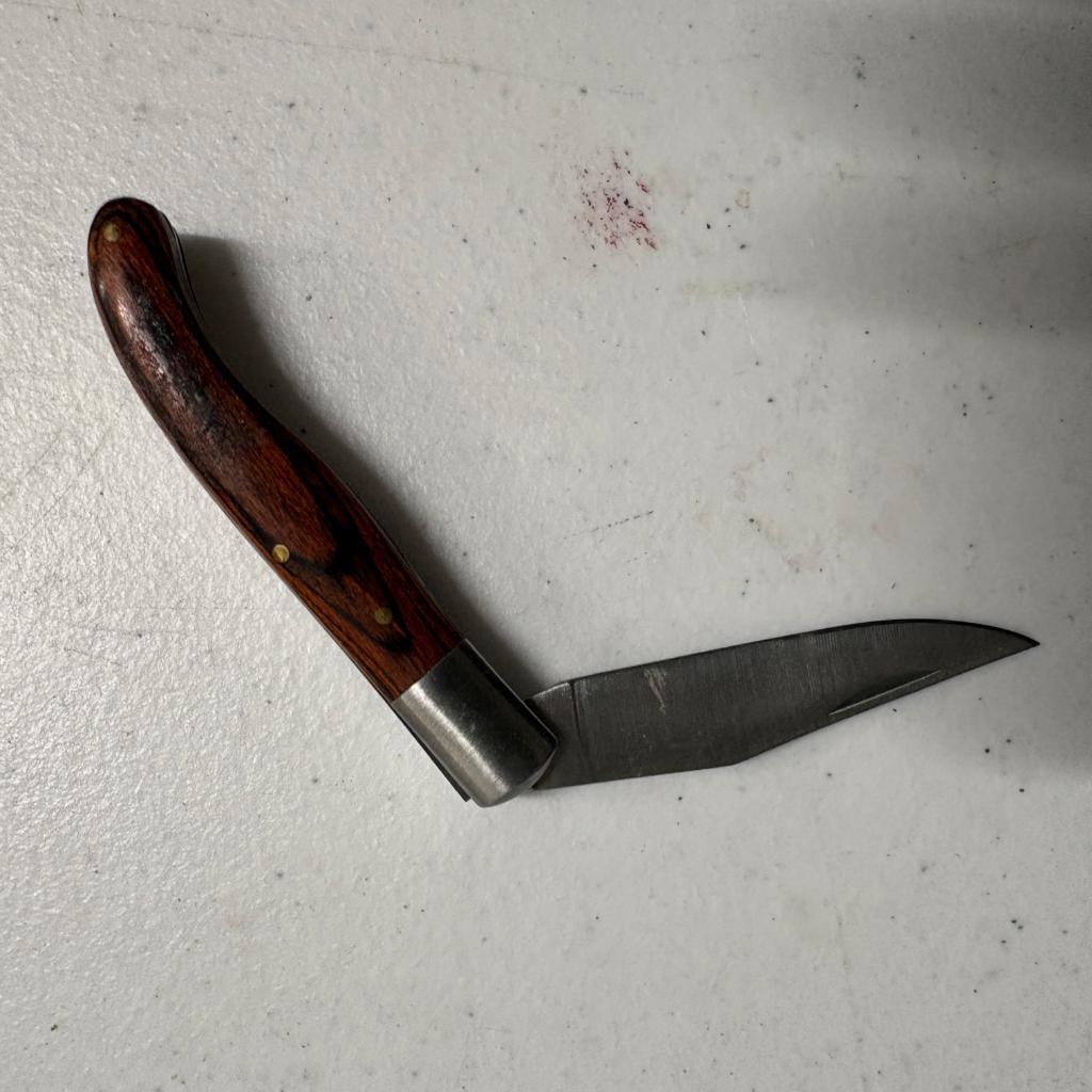 Vintage Single Blade Folding Pocket Knife Wood Handle Brass Pins 3.75 Inch